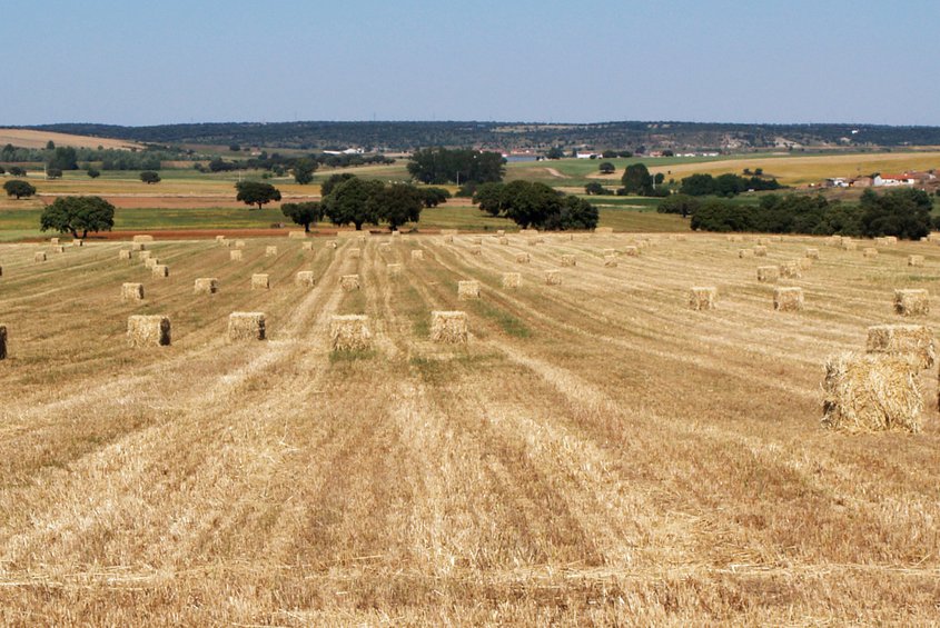 Campo Charro (ADRECAG)