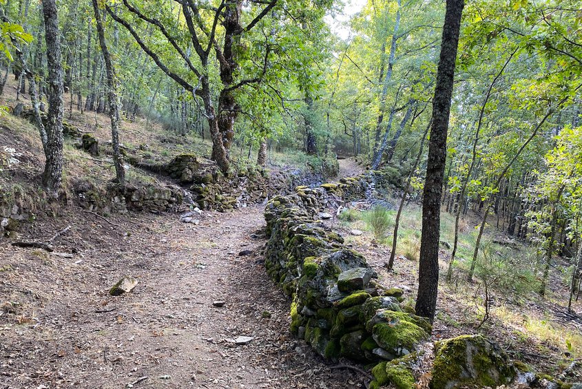 Camino al Castro as Muradellas (ADISAC)