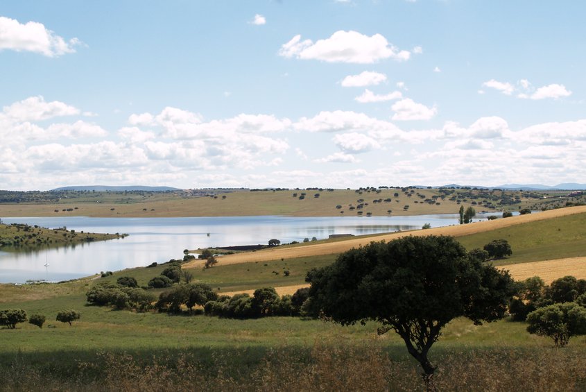 Pantano Santa Teresa (ADRECAG)