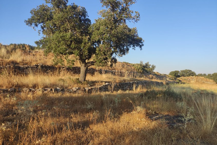 Castro de la Mesa de Miranda Chamartín (ADERAVI)